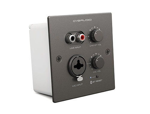 CVGAUDIO PW-IN/BL