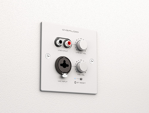 CVGAUDIO PW-IN/W