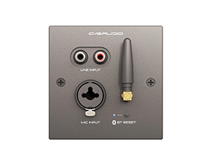 CVGAUDIO PW/EX-IN/BL