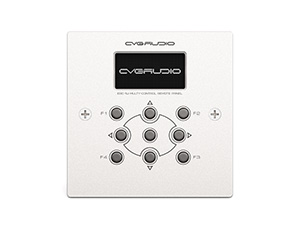 CVGAUDIO ERC-1W