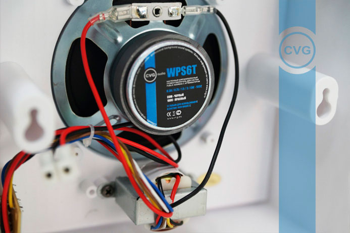 CVGAUDIO WPS6T