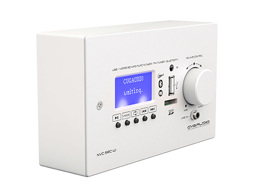 CVGAUDIO WS-NSRC-W