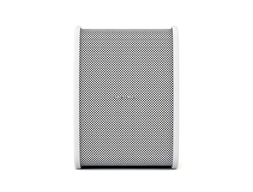 CVGAUDIO TONE-POINT model A-plus/W
