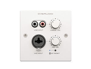 CVGAUDIO PW-IN/W