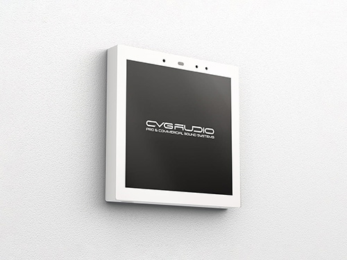 CVGAUDIO TSP-4W