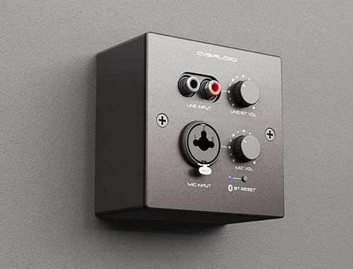 CVGAUDIO PW-IN/BL