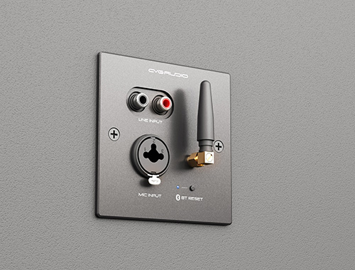 CVGAUDIO PW/EX-IN/BL