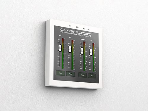 CVGAUDIO TSP-4W