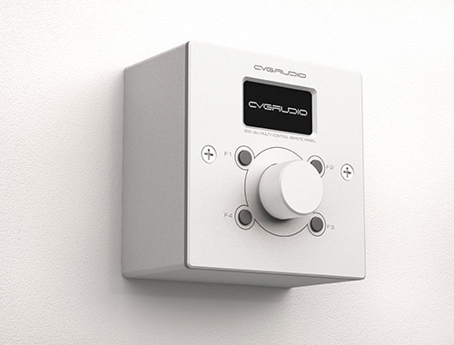 CVGAUDIO ERC-2W