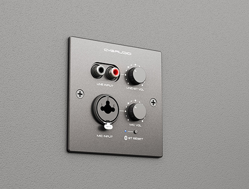CVGAUDIO PW-IN/BL