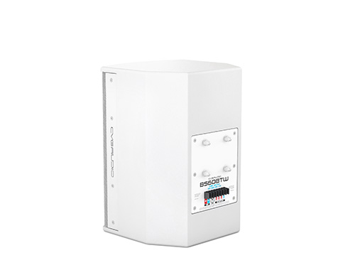 CVGAUDIO BS608TW