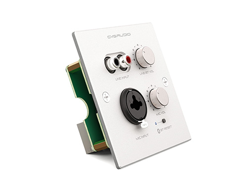 CVGAUDIO PW-IN/W