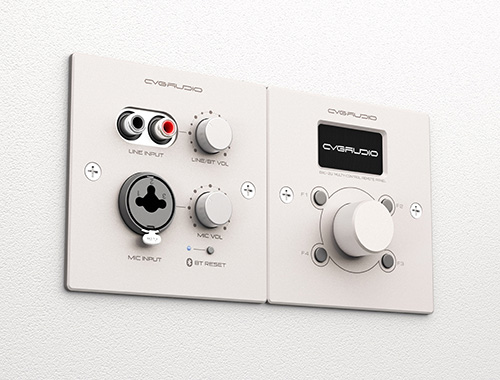 CVGAUDIO PW-IN/W