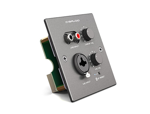 CVGAUDIO PW-IN/BL