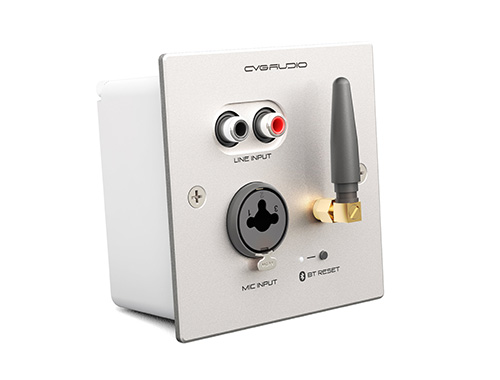 CVGAUDIO PW/EX-IN/W