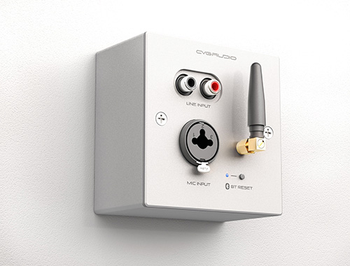 CVGAUDIO PW/EX-IN/W