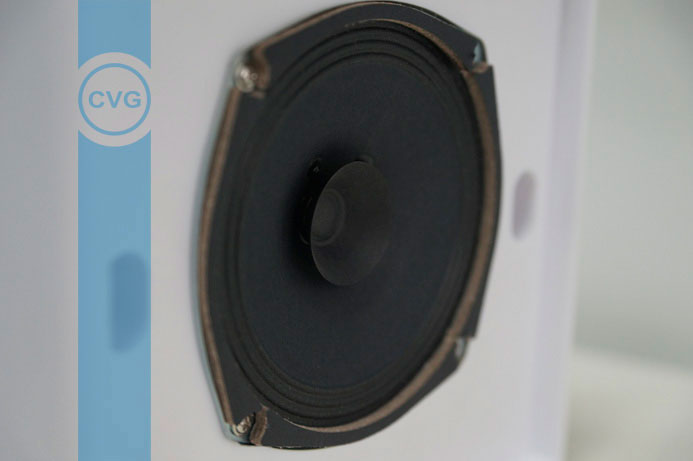 CVGAUDIO WPS6T