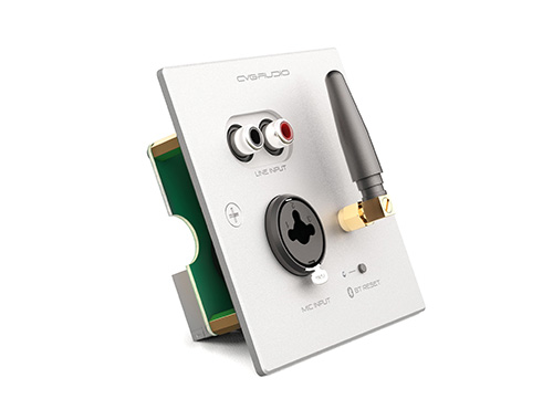 CVGAUDIO PW/EX-IN/W