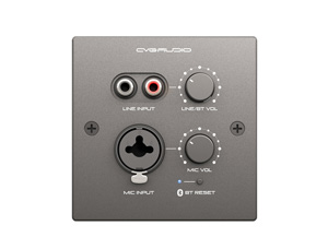 CVGAUDIO PW-IN/BL