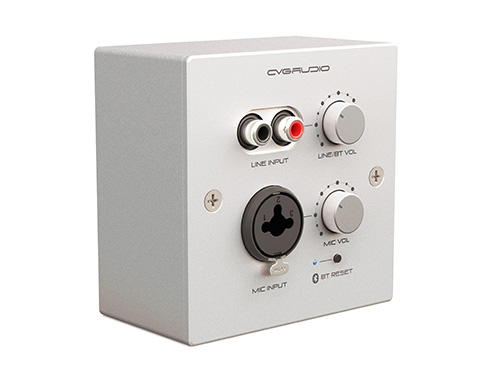 CVGAUDIO PW-IN/W