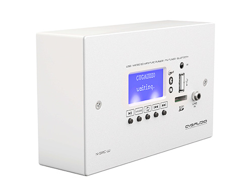CVGAUDIO WS-NSRC-W