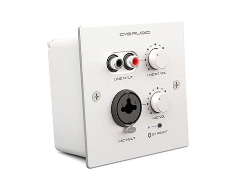 CVGAUDIO PW-IN/W