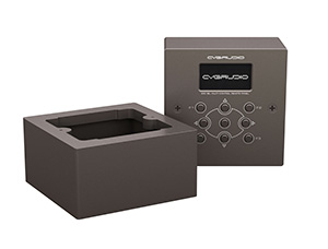 CVGAUDIO WS-ERC-BL