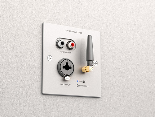 CVGAUDIO PW/EX-IN/W