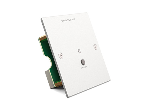CVGAUDIO PW-BT/W
