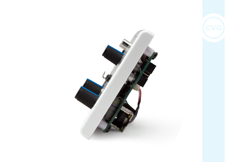 CVGAUDIO WCP-D2W