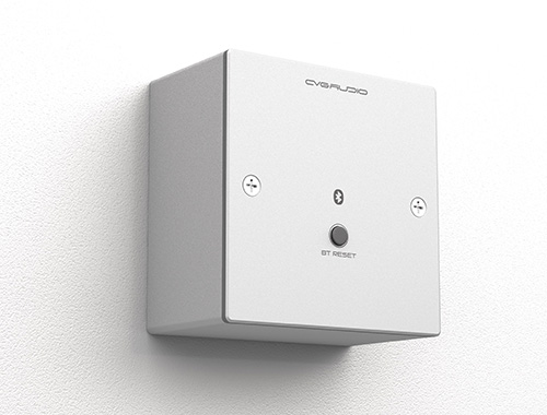 CVGAUDIO PW-BT/W
