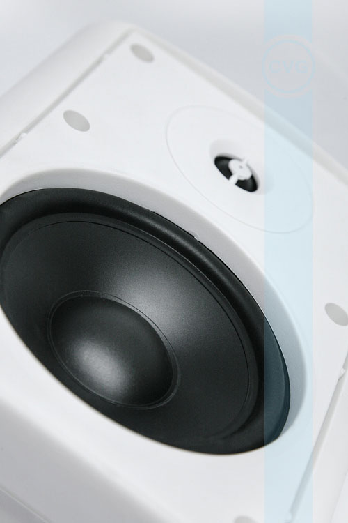 CVGAUDIO NF5TW