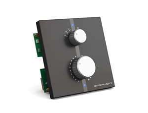 CVGAUDIO WP-4BL