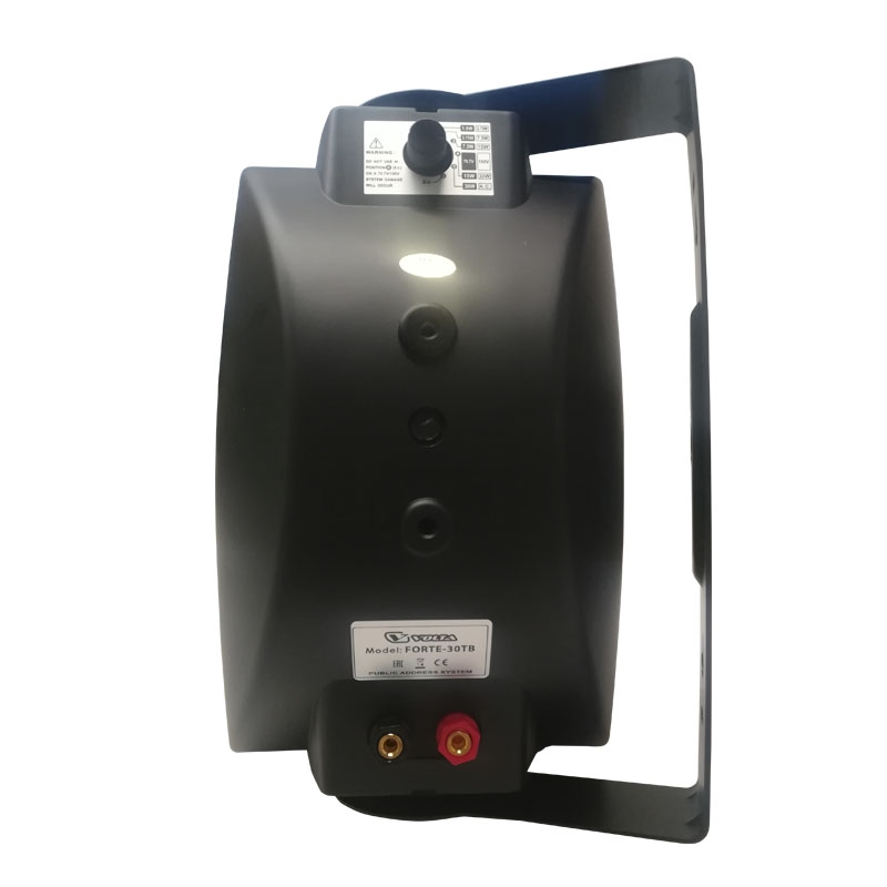 forte 30t 2023