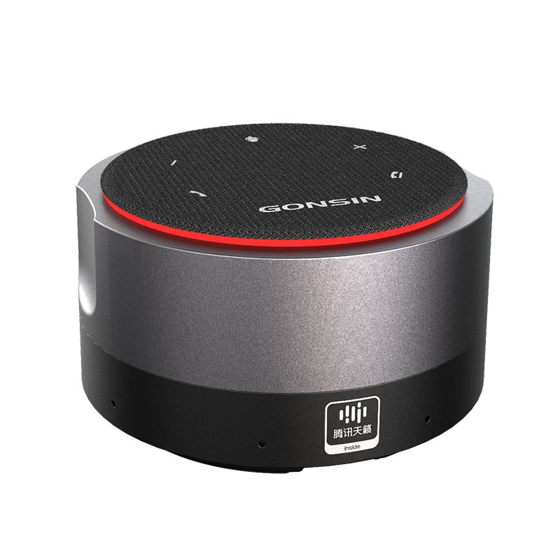 mic ra08